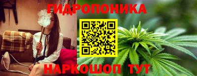 альфа пвп Аргун