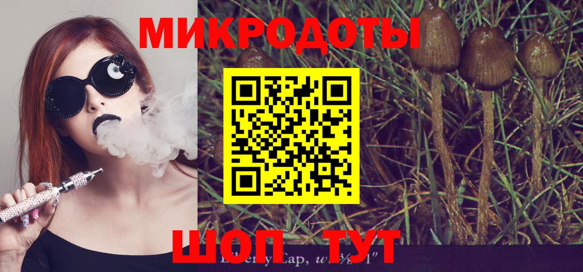 Псилоцибиновые грибы GOLDEN TEACHER  Вход с VPN  Воронеж  Галлюциногенные грибы мухоморы 